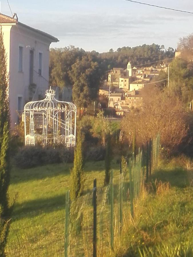 Tramonti E Valli Calvi dell' Umbria Luaran gambar